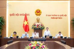 Sẽ sửa một số điều của Luật Trật tự, an toàn giao thông đường bộ năm 2027