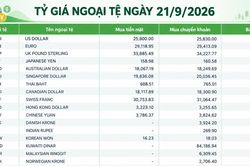 Tỷ giá ngoại tệ ngày 21/9: USD ở mức 26.210 đồng, GBP vượt 35.300 đồng
