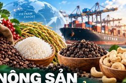 Nông sản xuất khẩu 21/9: Hồ tiêu tăng tốc, gạo Việt giữ 440-445 USD/tấn