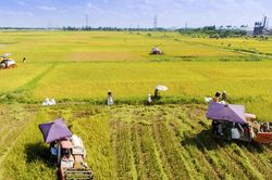 Tin tức đặc biệt trên ấn phẩm Hànộimới ngày 21-9-2026