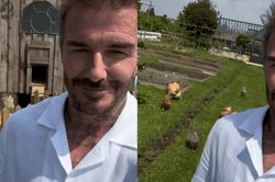 David Beckham gây chú ý, hé lộ một góc biệt thự