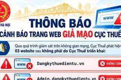 Thông báo cảnh báo trang Web giả mạo Cục Thuế