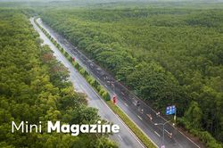 HDBank Green Marathon và hành trình củng cố vị thế di sản của Cần Giờ