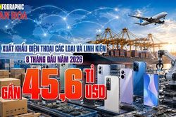 Mặt hàng nào mang về gần 45,6 tỉ USD, tháng 8 bất ngờ vượt 7 tỉ?