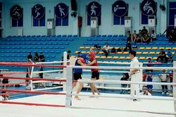 147 võ sinh tranh tài tại Giải Vô địch trẻ Võ cổ truyền Quảng Ngãi 2026