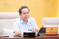 Chủ tịch Quốc hội Trần Thanh Mẫn:Tránh tình trạng ưu đãi thuế làm giảm thu ngân sách nhưng không mang lại hiệu quả tương xứng