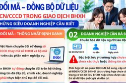Những điều doanh nghiệp cần biết về đổi mã - đồng bộ dữ liệu căn cước công dân trong giao dịch BHXH