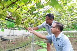 Xây dựng trung tâm dữ liệu vùng sản xuất nông nghiệp lớn