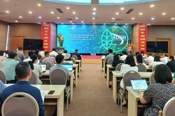 Quy định về chống mất rừng của Liên minh châu Âu (EUDR) và những điều doanh nghiệp cần biết