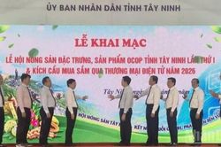 Kết nối chuỗi giá trị, phát triển bền vững