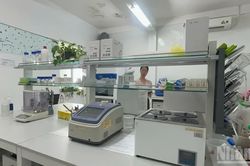 Chủ tịch Ủy ban nhân dân tỉnh Quảng Ngãi chỉ đạo vụ kiểm tra ADN sâm Ngọc Linh chưa được cấp phép