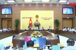 [Video] Đề nghị rà soát kỹ việc miễn thuế cho đơn vị cung cấp suất ăn trường học, bệnh viện