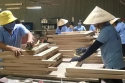 Nâng giá trị nông, lâm sản xuất khẩu từ làm chủ chuỗi cung ứng