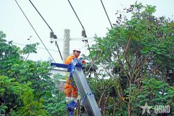 TP Hồ Chí Minh: Giữ dòng điện an toàn, ổn định trong mùa mưa bão