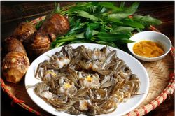 Rạm tháng Tám trên dòng sông quê