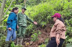 Di dời 40 hộ dân ra khỏi khu vực nguy cơ sạt lở ở Đà Nẵng
