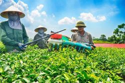Khung tiêu chí mới xác định dự án xanh: Bao phủ 7 lĩnh vực trọng điểm, đánh giá qua tổ chức độc lập