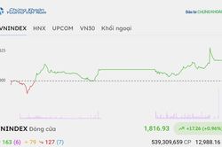 Chứng khoán hôm nay 22/9/2026: VN-Index tăng hơn 17 điểm