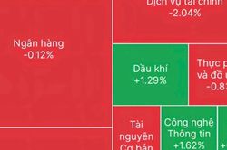 Có đáng lo ngại khi thị trường chứng khoán đỏ rực ngày đầu nâng hạng?