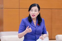 Chủ nhiệm Ủy ban của Quốc hội: 'Giảm thuế để nâng chất lượng bữa ăn trường học, bệnh viện thì quá tuyệt'