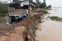 Mới đầu mùa lũ, đê bao cồn Thanh Long lại lở