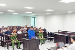 Truy sát em rể từ mâu thuẫn đất đai với bố mẹ