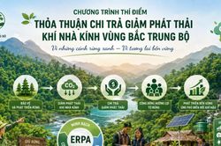 Từ thí điểm ERPA đến hoàn thiện thể chế về dịch vụ hấp thụ và lưu trữ các bon của rừng