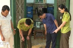 Quảng Trị tiếp nhận một cá thể khỉ mốc thuộc nhóm nguy cấp, quý hiếm