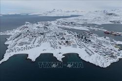 Mỹ dự kiến mở hai căn cứ quân sự tại Greenland