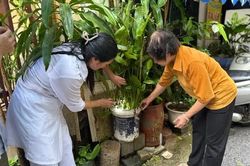 Hà Nội tích cực vệ sinh môi trường phòng dịch sốt xuất huyết