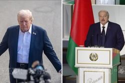 Phát biểu trái ngược của Tổng thống Trump và lãnh đạo Belarus trong vấn đề nguồn cung phân bón