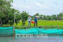 Xây dựng nông thôn mới Tây Ninh: Không thể một khuôn cho mọi nơi