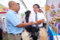 Khi nông sản Tây Ninh không còn chỉ bán bằng sản lượng