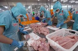 Cần Thơ thúc đẩy doanh nghiệp chuyển đổi số, sản xuất xanh