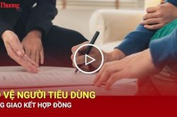 Bảo vệ người tiêu dùng trong giao kết hợp đồng