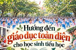 Hướng đến giáo dục toàn diện cho học sinh tiểu học