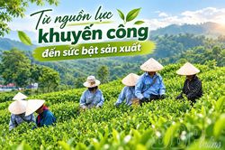 Từ nguồn lực khuyến công đến sức bật sản xuất