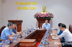 Đồng Tháp chuẩn bị tiếp nhận 12 cá thể sếu đầu đỏ