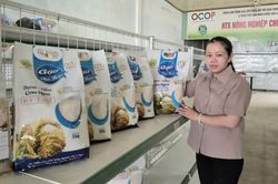Gia Lai: Hoàn thành xây dựng cơ sở dữ liệu về hợp tác xã trước ngày 16-11-2026