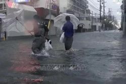 Bão Dujuan gây nhiều thương vong, ngập lụt nghiêm trọng tại Nhật Bản