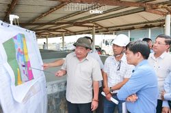 Phó Chủ tịch UBND tỉnh Trịnh Minh Hoàng kiểm tra tiến độ Dự án thành phần 1 Dự án Nhà máy điện hạt nhân Ninh Thuận 1