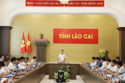 Lào Cai tăng cường quản lý đất có nguồn gốc nông, lâm trường