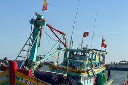 Cuối vụ cá nam, thị trường hải sản vẫn sôi động