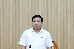 Giám sát việc thực hiện chính sách, pháp luật trong quản lý nhà nước về đô thị