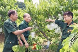 Đồng hành cùng hợp tác xã phát triển bền vững