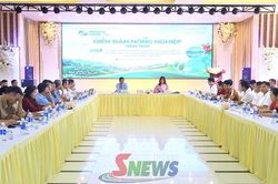 Nâng cao năng lực quản trị và chuyển đổi số cho HTX nông nghiệp