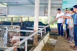 Quy hoạch không gian chăn nuôi: Hài hòa môi trường và sinh kế (kỳ 2)