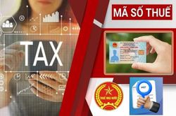 10 trạng thái mã số thuế người nộp thuế cần đặc biệt lưu ý