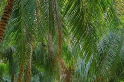 Vĩnh Long tạo động lực phát triển mới cho hợp tác xã
