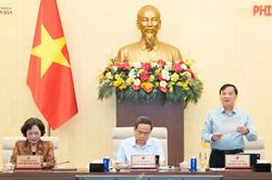 Cân nhắc cơ chế miễn, giảm trách nhiệm trong trưng mua, trưng dụng tài sản